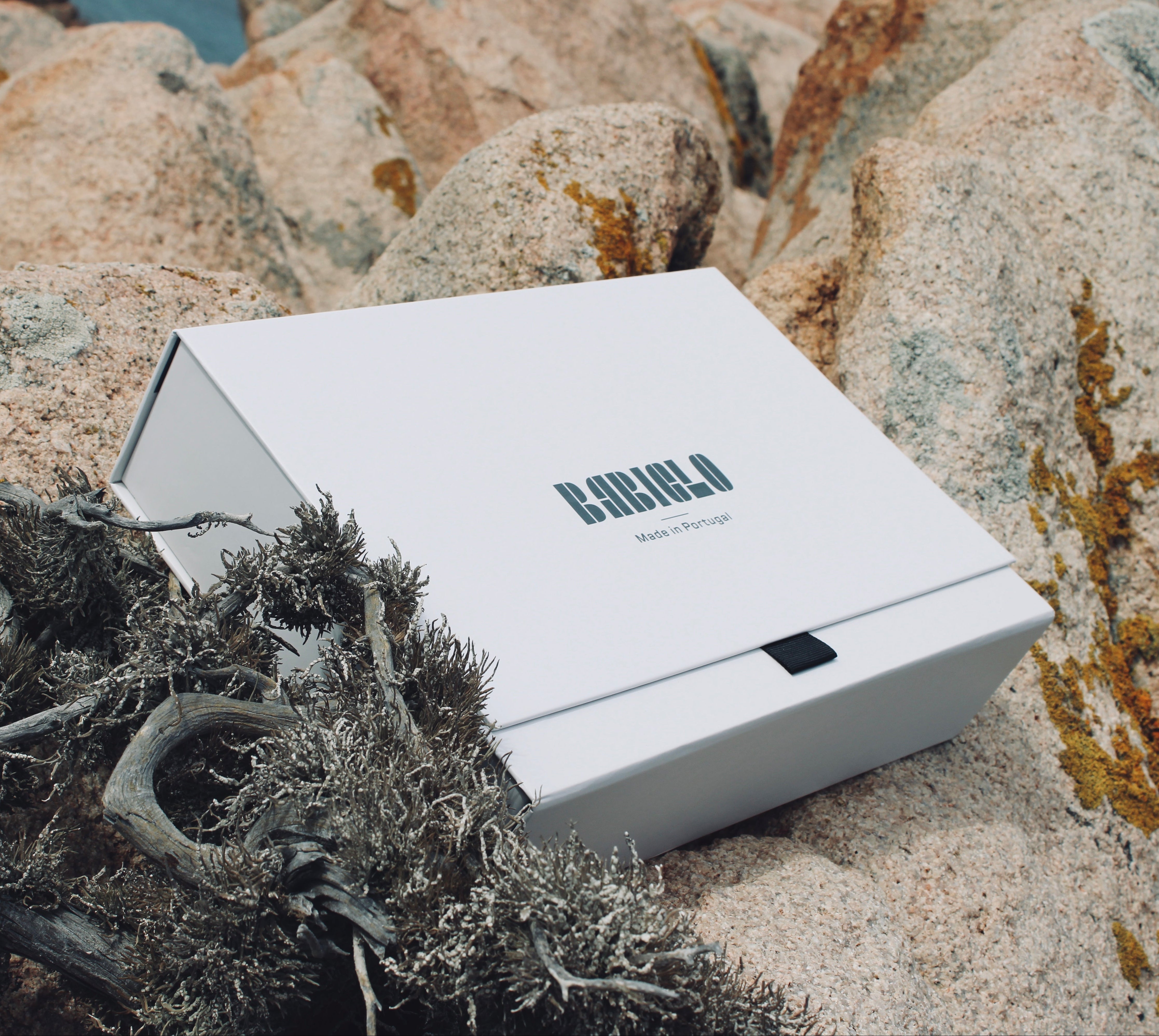 BABICLO box